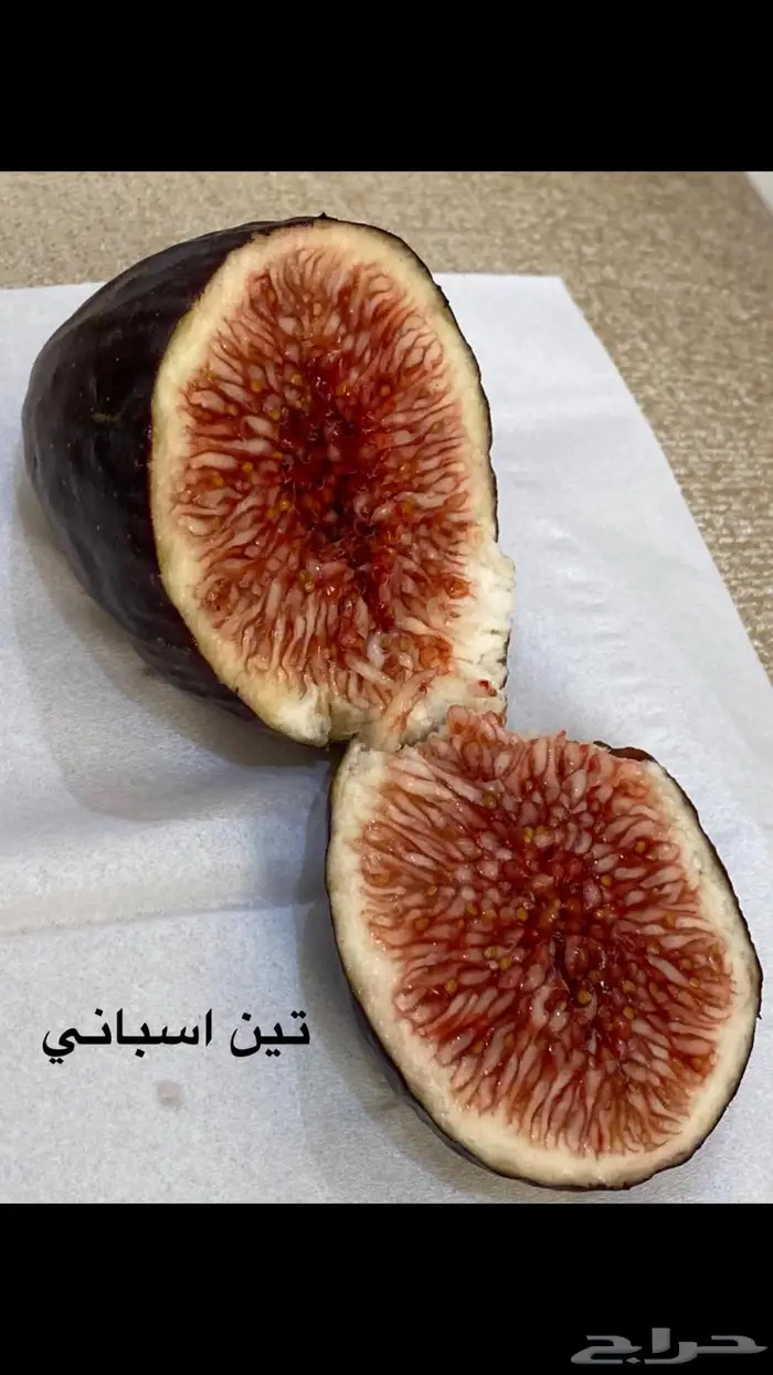 شتلات للبيع 10