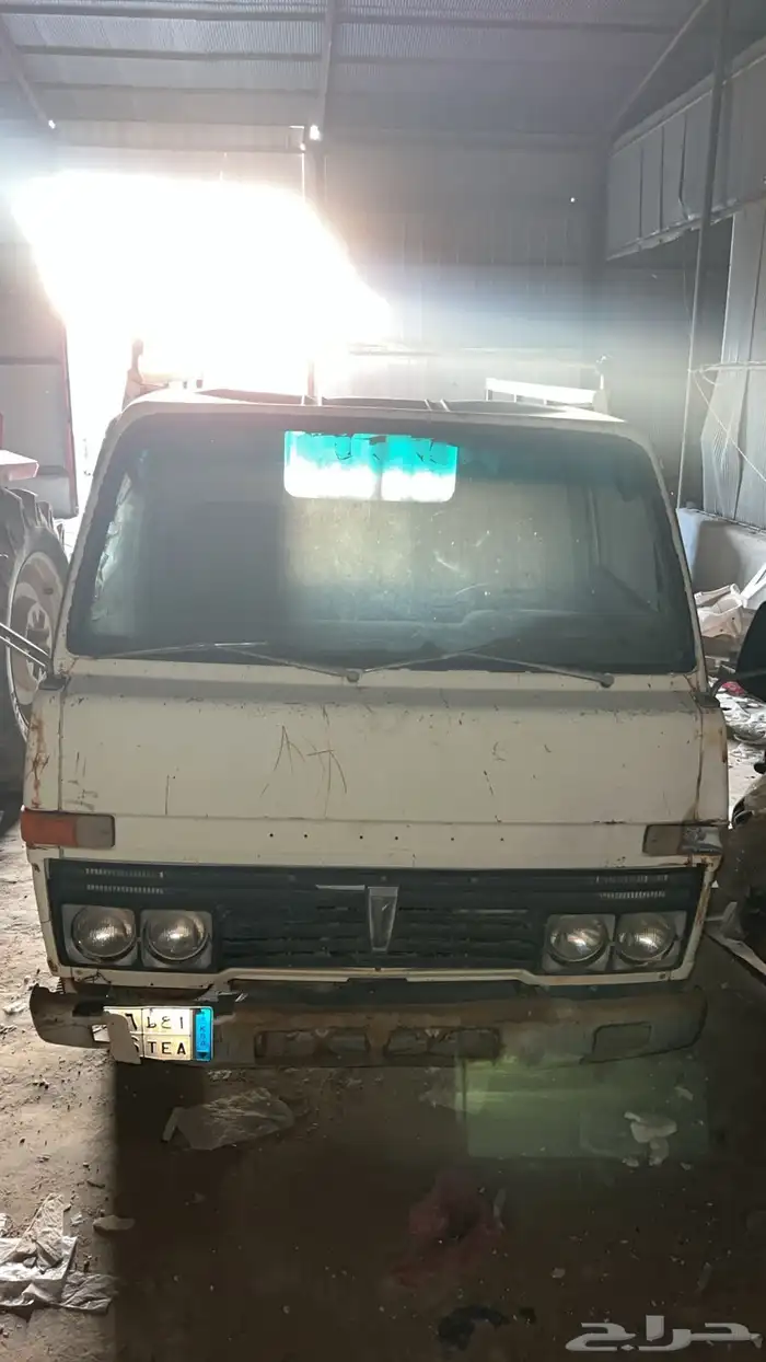 دينا قلاب 0