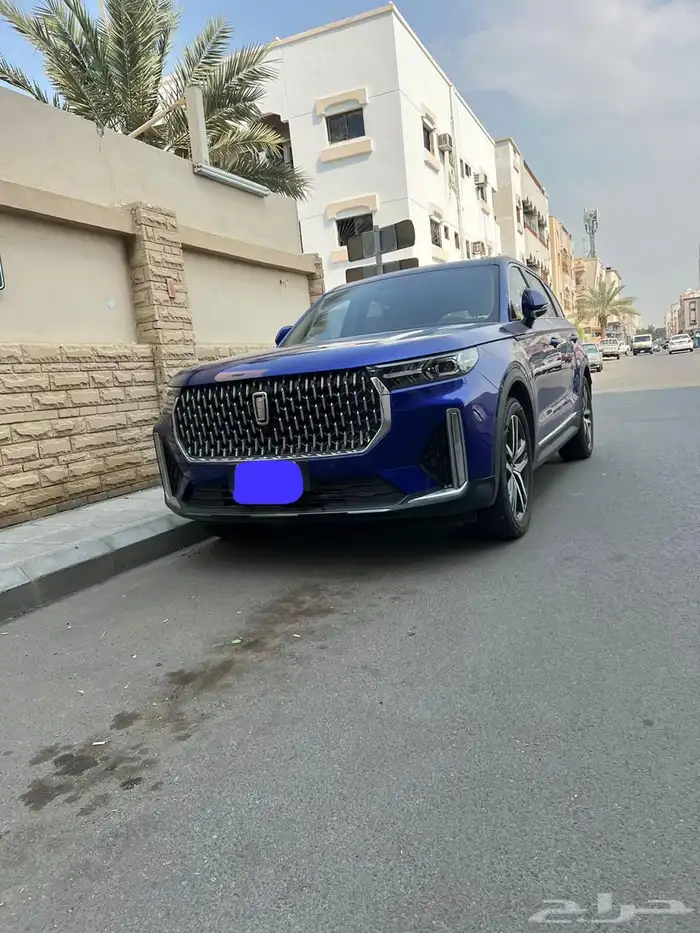 بيستون T99 2