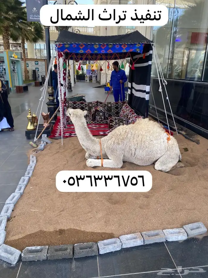 تاجير خيام خيمة التأسيس 17