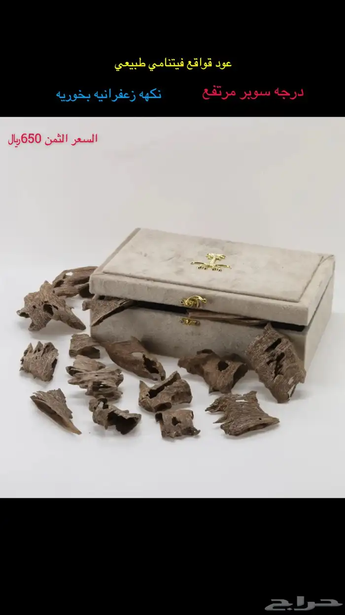عود قواقع فيينامي طبيعي 0