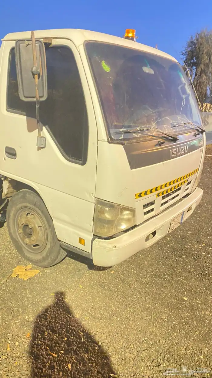 دينا ايسيوزو وايت 5