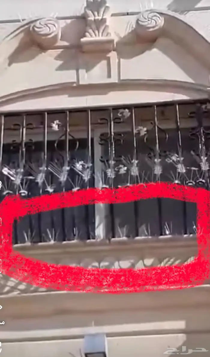 مانع الطيور أمريكي اصلي كرتون كامل 1