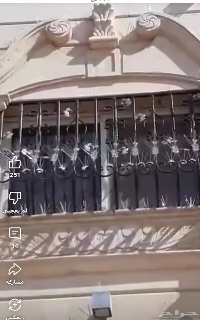 مانع الطيور أمريكي اصلي كرتون كامل 3