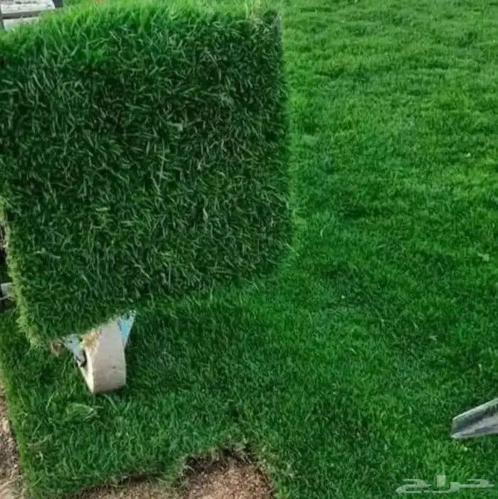 مزرعة إنجيله للتقبل 0