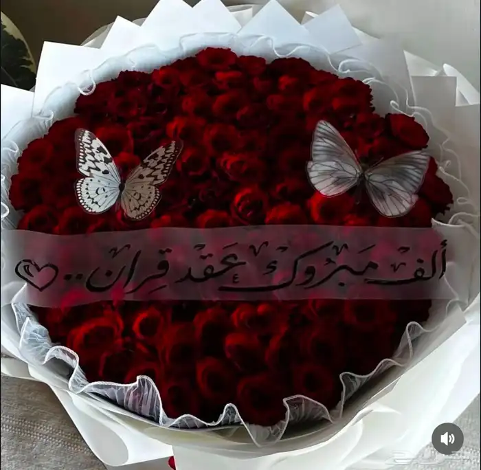 مندوب جده هدايا ورد طلبات خاصه 2