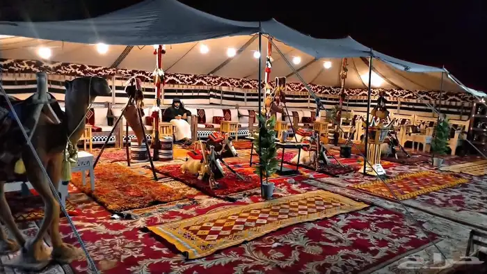 تأجير خيام شعبيه مع الديكورات والجمال والغزلان 34
