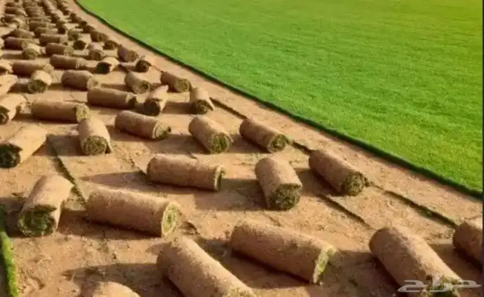 مزرعة إنجيله للتقبل 2