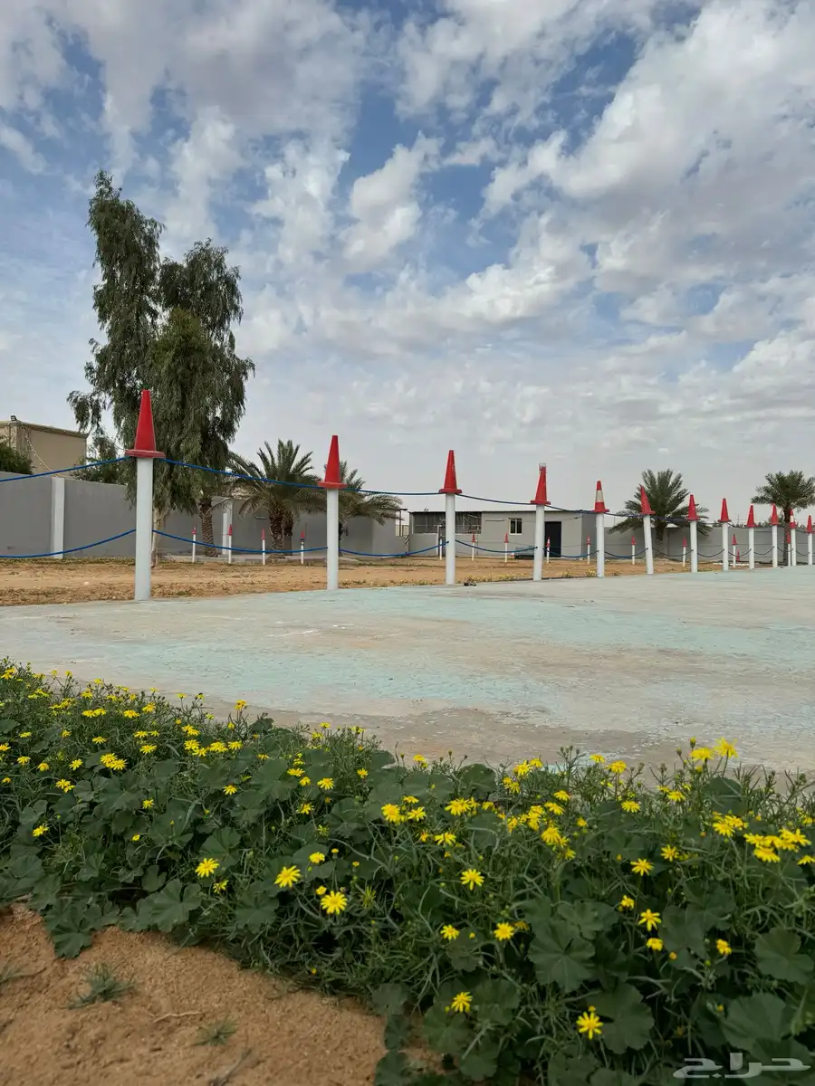 منتجع فخر الوابلية النسائي للفروسية  تدريب   اجار  خيل 0
