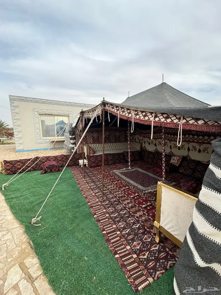 منتجع فخر الوابلية النسائي للفروسية  تدريب   اجار  خيل 5