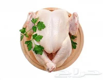 دجاج مبرد للمطاعم والإعاشات بسعر الجمله 1