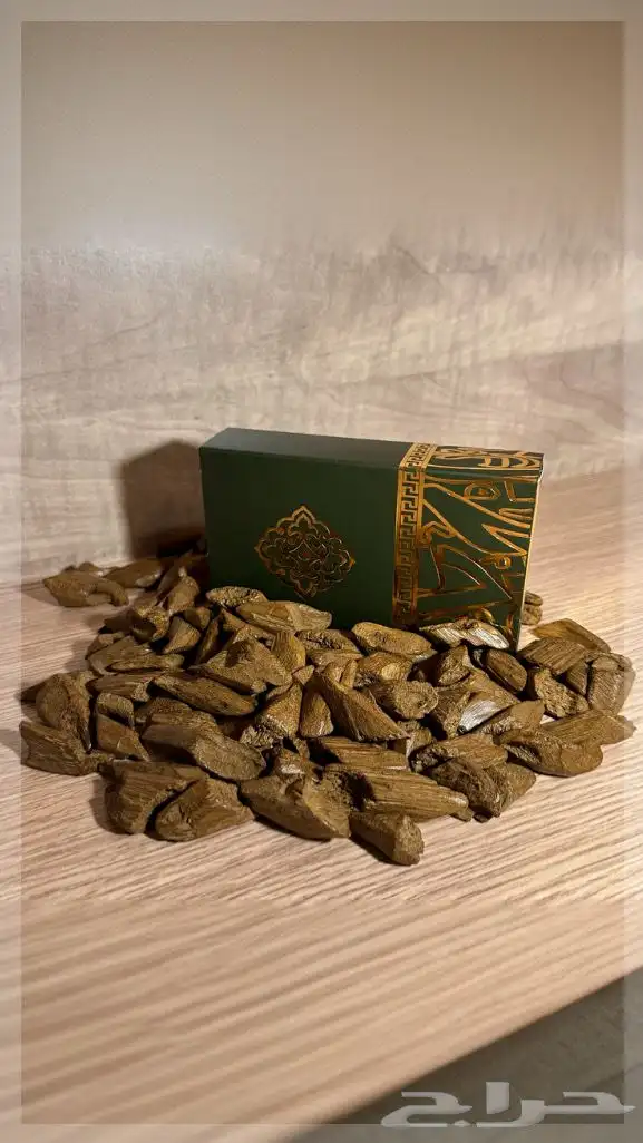 عود مروكي محسن فآخر عرض شهر رمضان 0