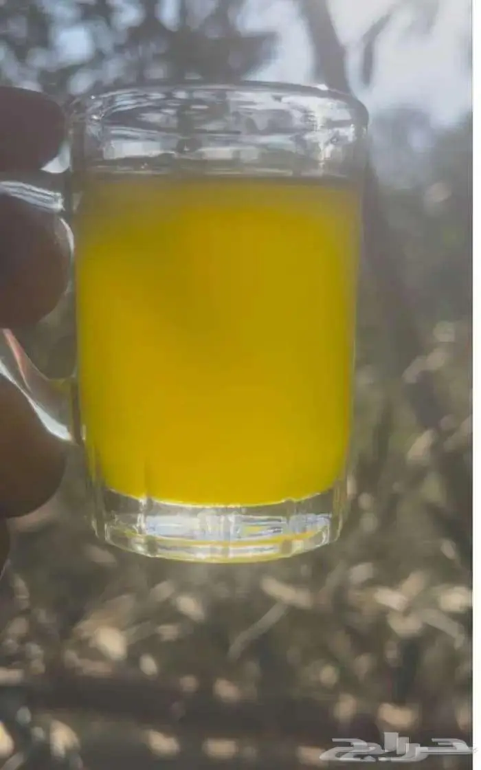 زيت زيتون سوري على الشرط 1