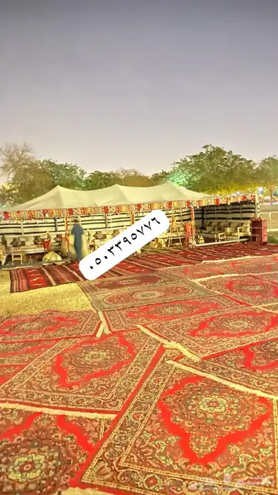 خيام بيوت شعر جلسات ركن تراثي 61