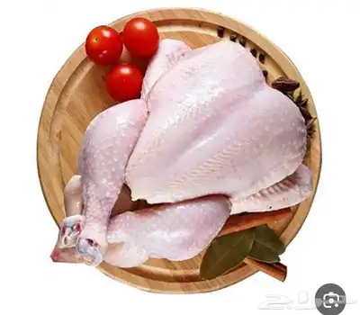 دجاج مبرد للمطاعم والإعاشات بسعر الجمله 0