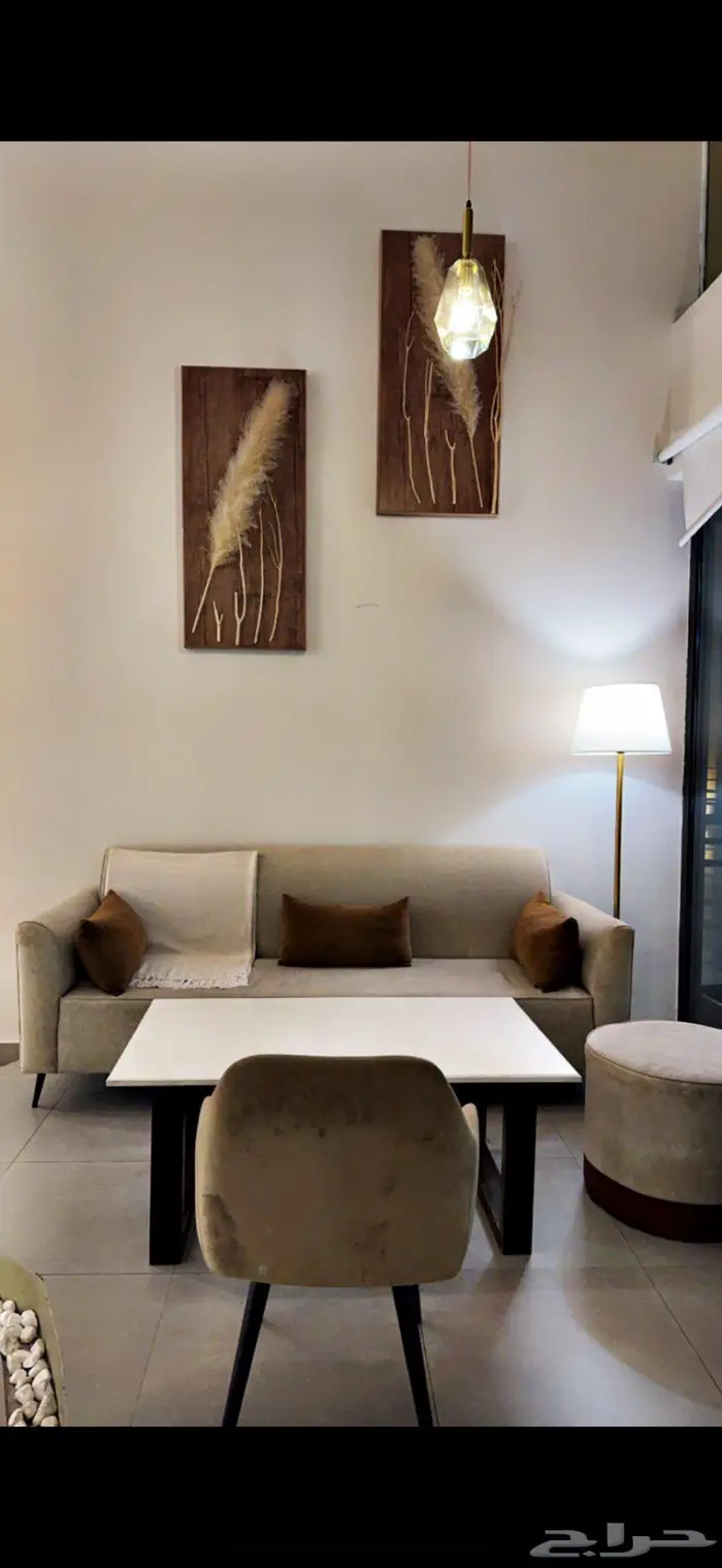 للتقبيل كوفي ( قهوه مختصه) بحائل الموقع مميز 4