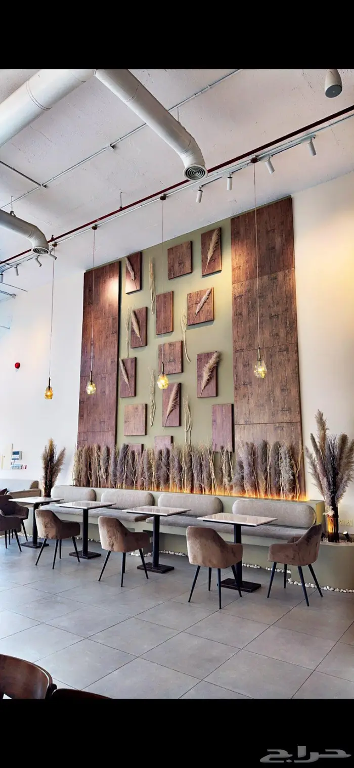 للتقبيل كوفي ( قهوه مختصه) بحائل الموقع مميز 9