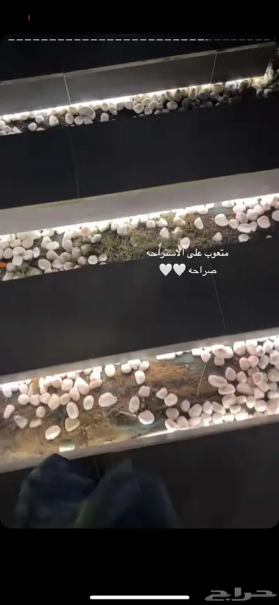 مشرف مباني ومشاريع خاصه 60