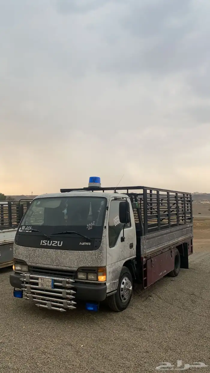 دينا شبك طالع للمدينه المنوره فاضي 0