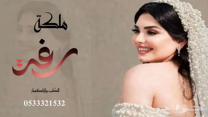منشد شيلات شاعر جزل 0