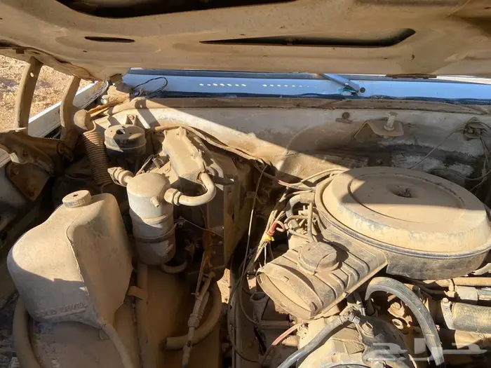 جمس 1978 5