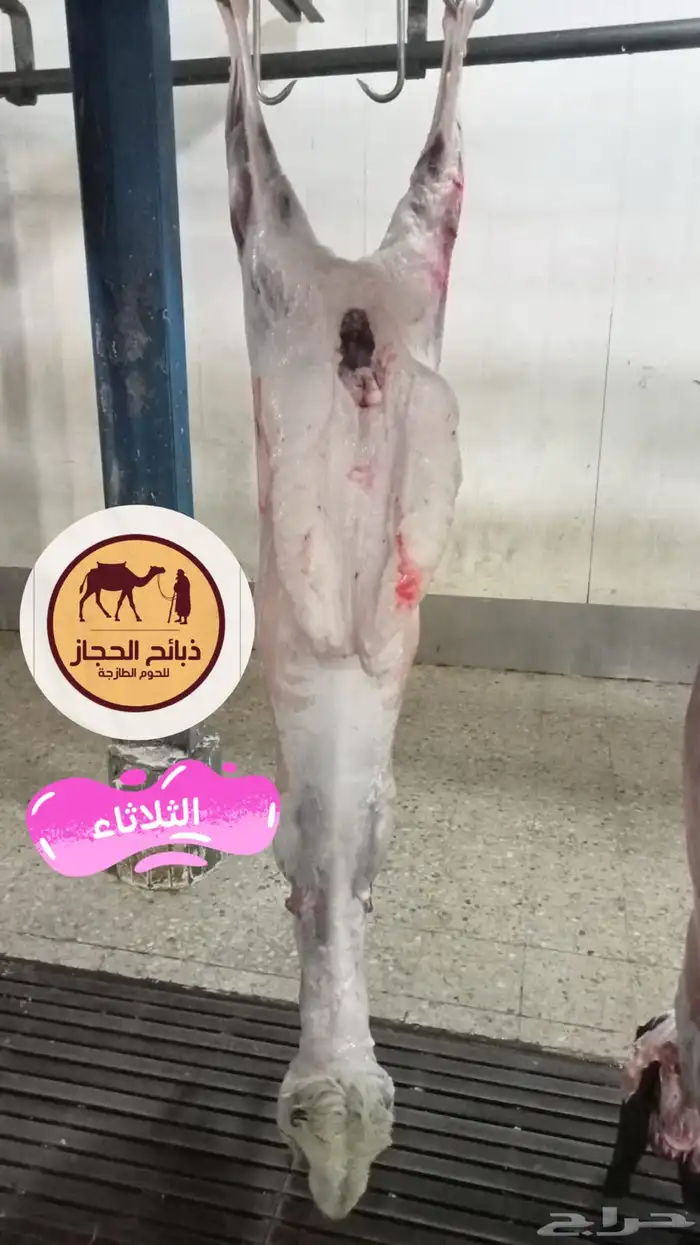 ذبايح مع خدمة الذبح و التوصيل و التغليف 7