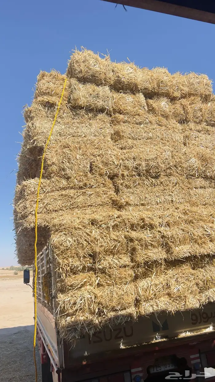 تبن بر صافي ناعم 0