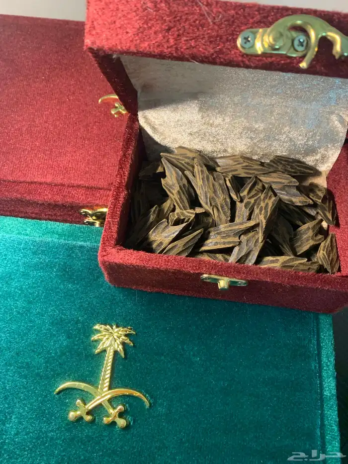 عود طبيعي محسن مروكي موروكي عود تايقر توزيعات هدايا سبح 19