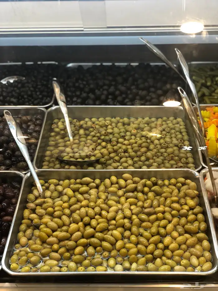 مطلوب قسم اجبان 4