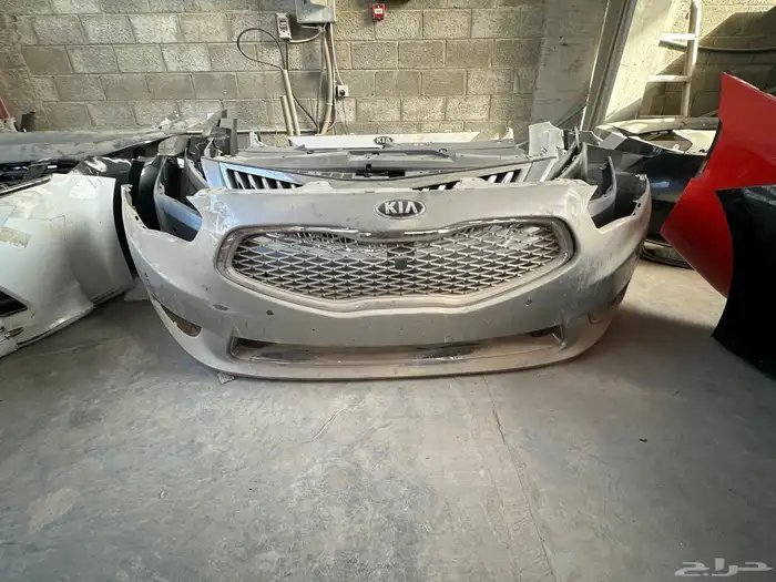 صدام كادينزا 2015 0