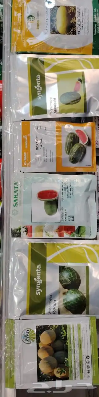 بذور بطيخ   حبحب 1