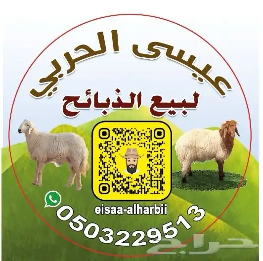 ذبائح محافظة الرس 0