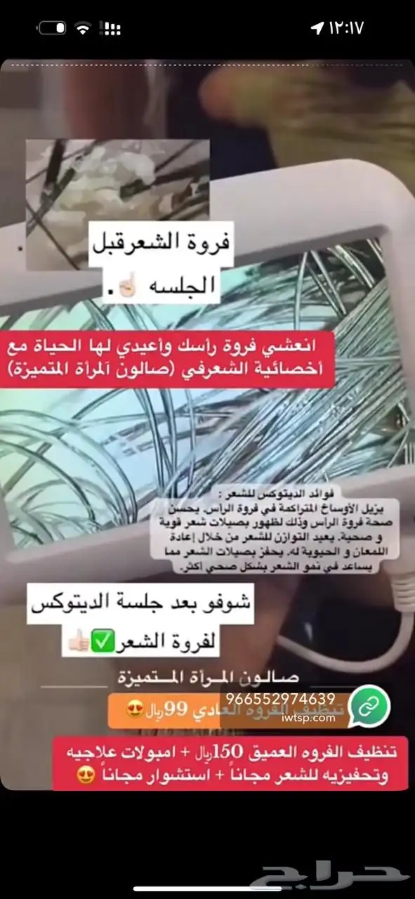 عروض التأسيس 54