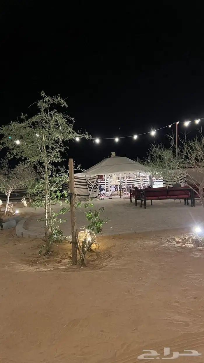 مخيم واحة السدر للإيجار اليومي رقم 1 7