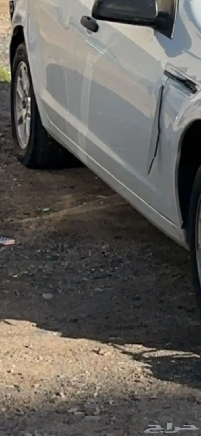 صطبات وسمكات كابرس LS 3