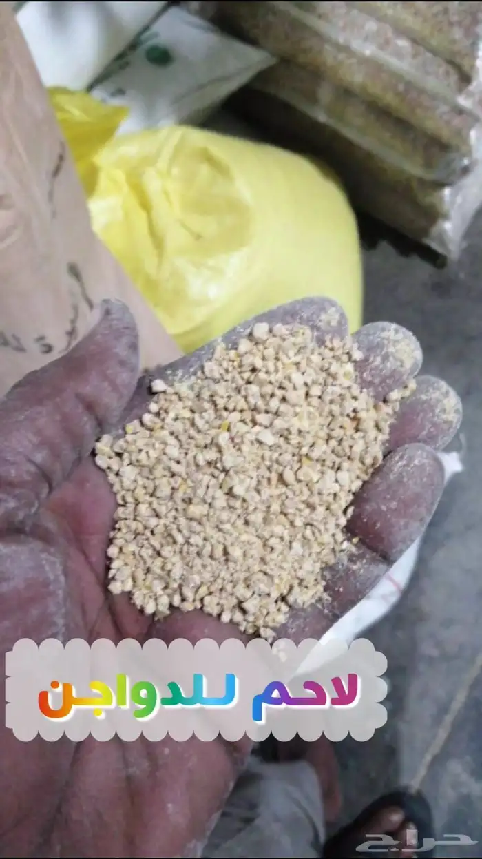 أعلاف دجاج وحمام و بغبغاء و روز وطيور الحب 7