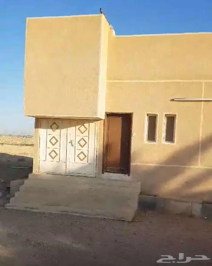 مزرعة متكاملة في موقع مميز في أرض الزيتون في الجوف 5