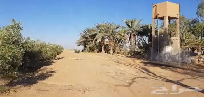 مزرعة متكاملة في موقع مميز في أرض الزيتون في الجوف 0