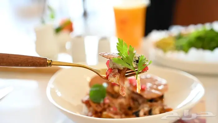 مصور محترف 1