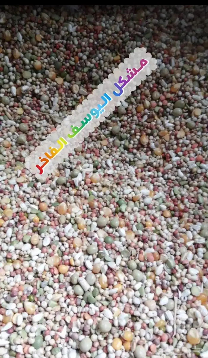 أعلاف دجاج وحمام و بغبغاء و روز وطيور الحب 12