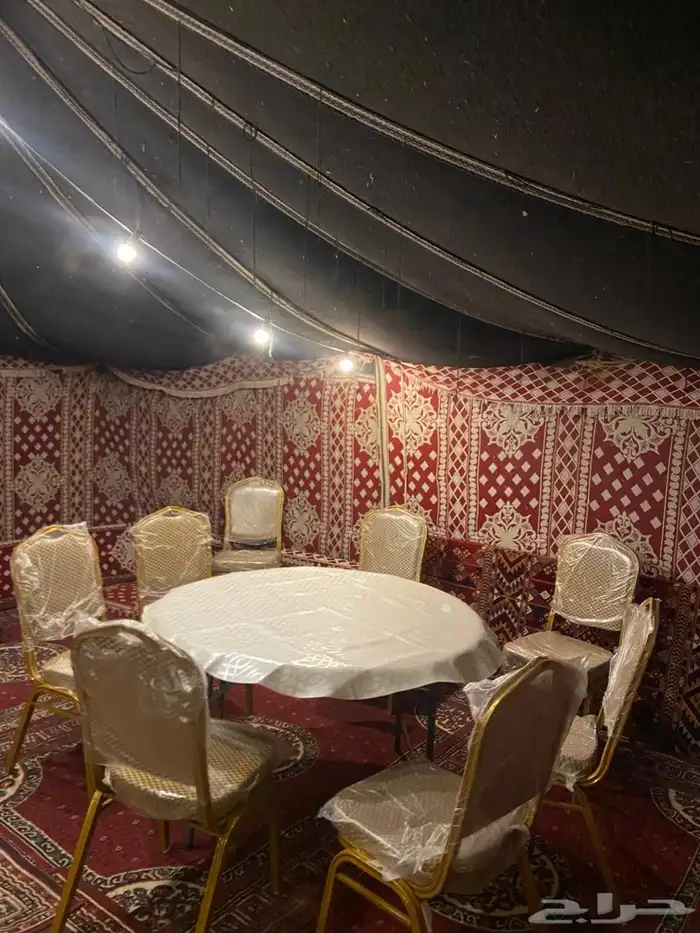 مخيم واحة السدر للإيجار اليومي رقم 1 13