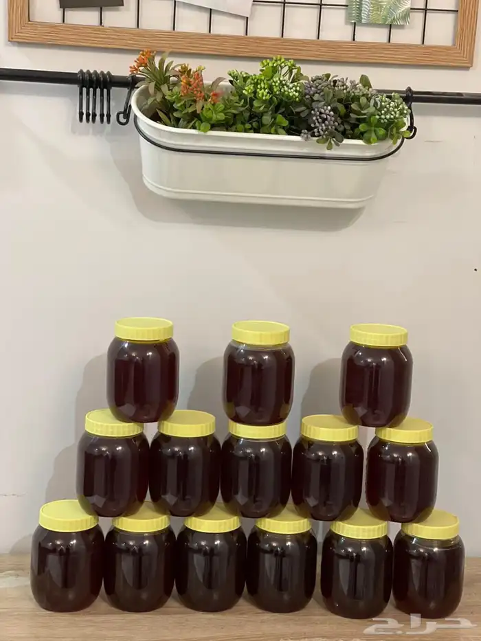 عسل سدر وسمرة وطلحة 0