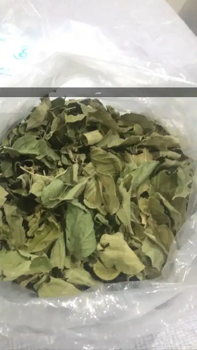 حناء وسدر للشعر والصبخات 2