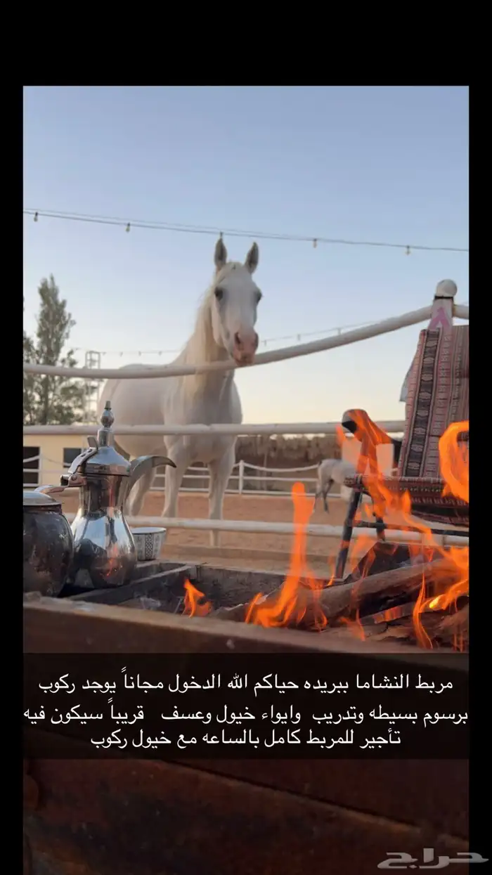 ايواء خيول 0
