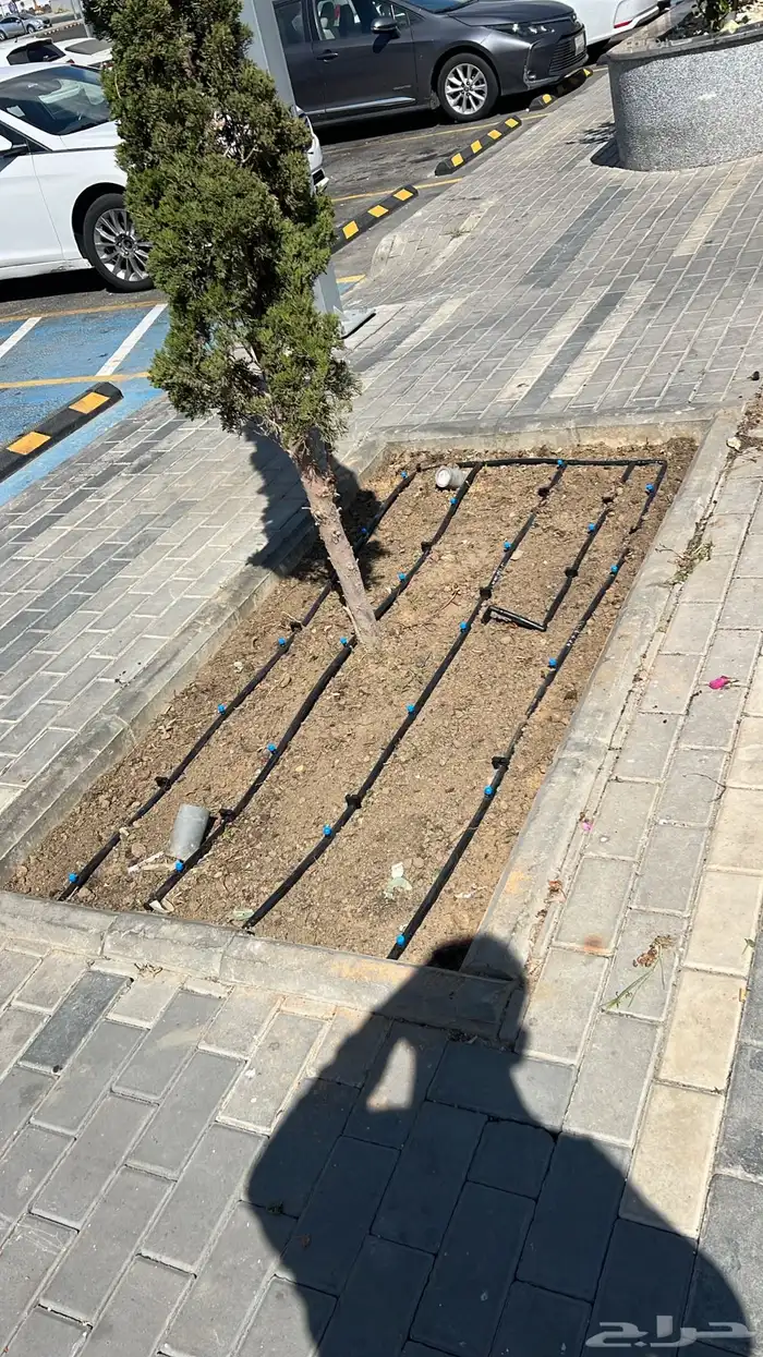 زراعه وحدائق 8