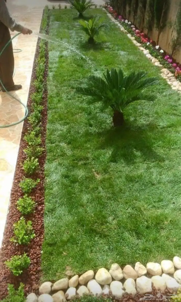 زراعه وحدائق 36