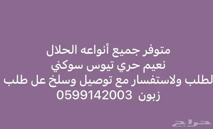 متوفر جميع أنواعه الحلال تيوس نعيم حري طيبه ونظيفه 0