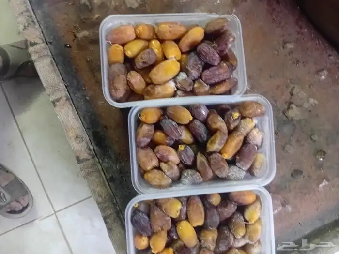 رطب برني العلا وزن كيلو للبيع 1