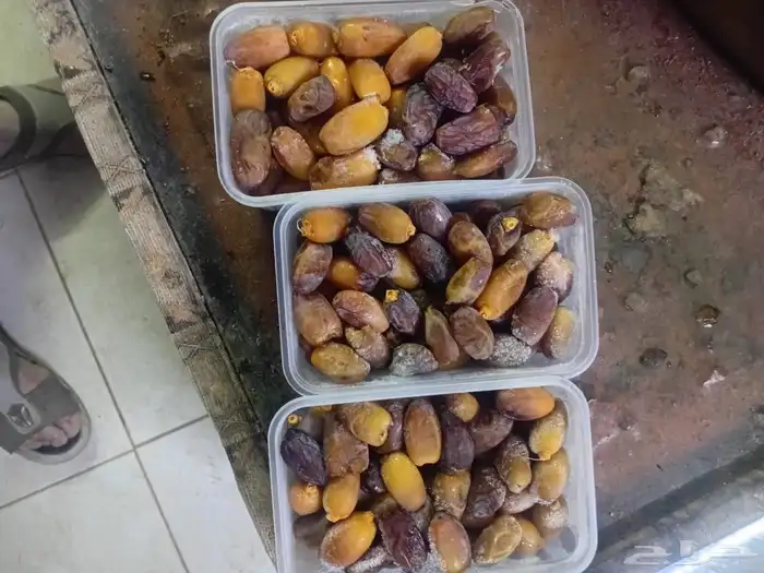 رطب برني العلا وزن كيلو للبيع 0