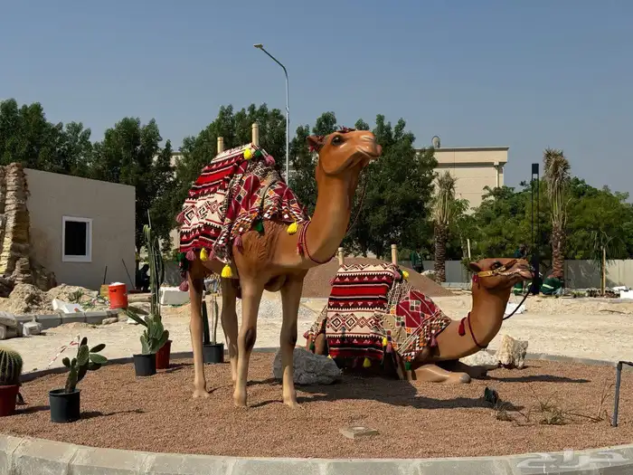 مجسم جمل ( بعير ) ومجسمات ليوم التاسيس 0